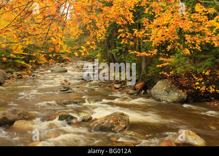 Brook à la Texas Falls, Vermont, Breadloaf Banque D'Images