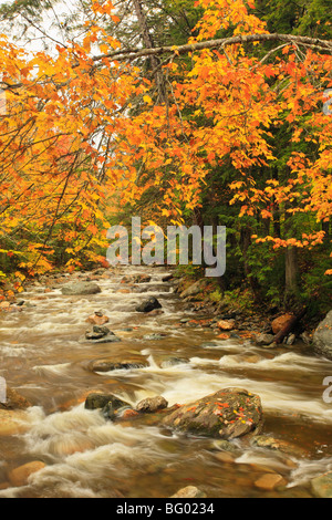 Brook à la Texas Falls, Vermont, Breadloaf Banque D'Images
