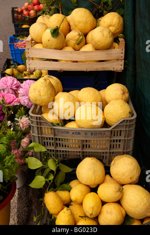Les citrons d'Amalfi dans un marché - Positano, Italie Banque D'Images