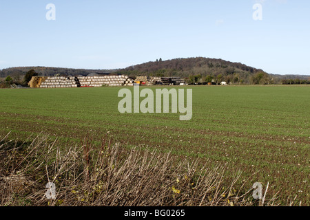 Chiltern Hills près de Hambleden Thames Valley Buckinghamshire Banque D'Images