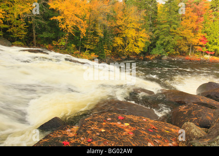 Buttermilk Falls, Deerland, Adirondacks, New York Banque D'Images