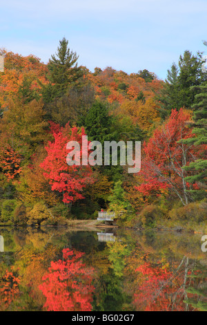 Le lac fourchu, Eagle Bay, Adirondacks, New York ; ; Banque D'Images