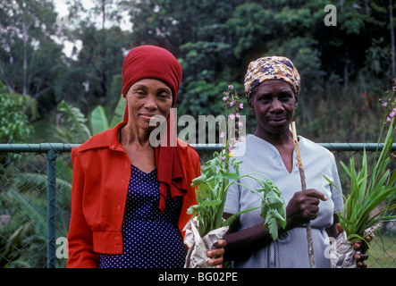 2, 2, les Jamaïcains, les femmes jamaïcaines, jamaïcain, les femmes, les femmes adultes, les femmes, Albert ville, pays de pilotage, les montagnes bleues, Jamaïque Banque D'Images