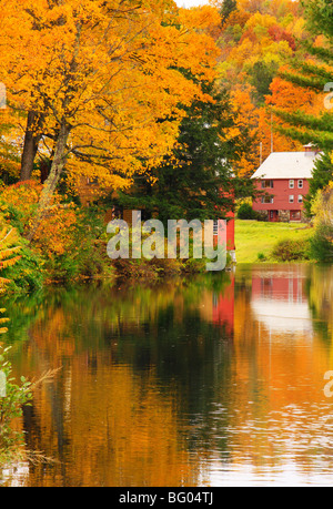 Mill Pond, Weston, Vermont Banque D'Images