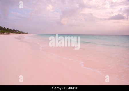 Pink Sands Beach, Harbour Island, Bahamas, Antilles, Amérique Centrale Banque D'Images