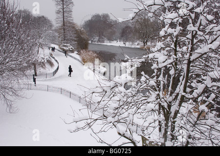 Arbres couverts de neige pendant une tempête de neige dans le parc de St James, Londres, Angleterre, Royaume-Uni, Europe Banque D'Images