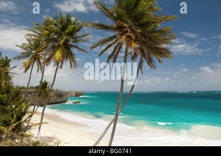 Palmiers et de surf à fond Bay sur la côte est de la Barbade, îles du Vent, Antilles, Caraïbes, Amérique Centrale Banque D'Images