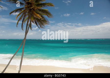 Palmiers et de surf à fond Bay sur la côte est de la Barbade, îles du Vent, Antilles, Caraïbes, Amérique Centrale Banque D'Images