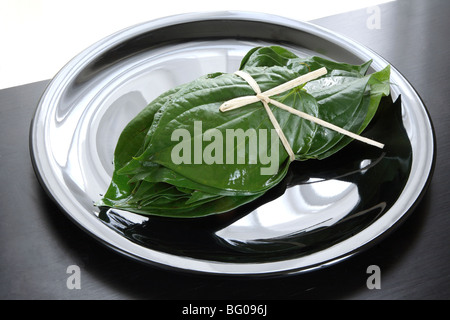 Les feuilles de vigne de bétel (Piper betle), la famille Piperaceae, considérés tant comme un léger stimulant et pour ses propriétés médicinales, l'Inde Banque D'Images