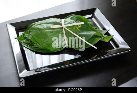 Les feuilles de vigne de bétel (Piper betle), la famille Piperaceae, considérés tant comme un léger stimulant et pour ses propriétés médicinales, l'Inde Banque D'Images