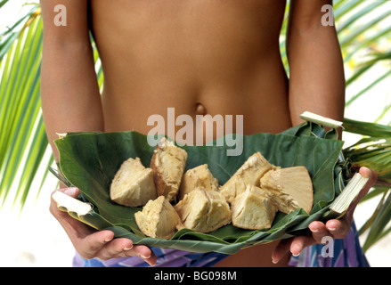 Fruit à pain Banque D'Images