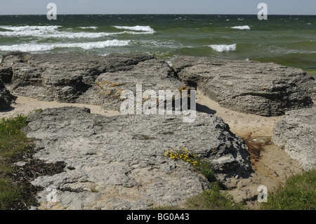 Byerums Raukar. Dans Byerum formes calcaire extraordinaire sur la côte ouest de l'île suédoise d'Oland. Banque D'Images