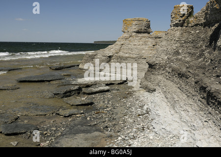 Byerums Raukar. Dans Byerum formes calcaire extraordinaire sur la côte ouest de l'île suédoise d'Oland . Banque D'Images