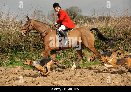 Chasseur et chiens Banque D'Images