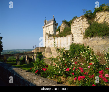 Chateau de Chinon, Indre-et-Loire, Loire, France, Europe Banque D'Images