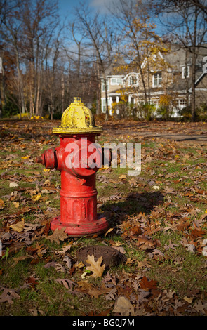 D'INCENDIE rouge et jaune à côté d'un trottoir dans la banlieue de New York ville américaine à l'automne automne Banque D'Images