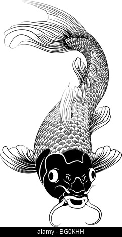 Beau noir et blanc vector illustration d'un Japonais ou Chinois inspiré carpes koï poisson Banque D'Images