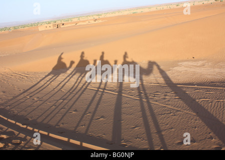 Ombres d'une randonnée chamelière désert du Sahara Banque D'Images