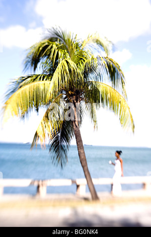 Palmier et femme en robe blanche, Punta Gorda, Cienfuegos, Cuba, Antilles, Caraïbes, Amérique Centrale Banque D'Images