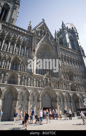 L'extérieur de la façade ouest, avec Mouette survolant, Cathédrale de Nidaros, à Trondheim, Nord-trondelag, Norway, Scandinavia, Europe Banque D'Images