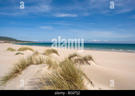 Plage de Bolonia, Costa de la Luz, Andalousie, Espagne, Europe Banque D'Images