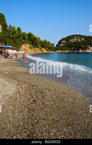 Plage de Stafilos Skopelos, Sporades, Îles, Îles grecques, Grèce, Europe Banque D'Images