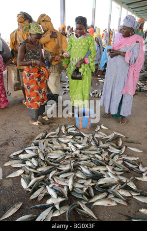 Marché aux poissons de Mbour, Mbour, Sénégal, Afrique de l'Ouest, l'Afrique Banque D'Images