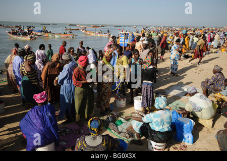 Marché aux poissons de Mbour, Mbour, Sénégal, Afrique de l'Ouest, l'Afrique Banque D'Images