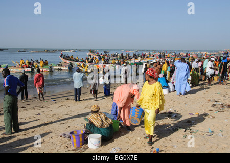 Marché aux poissons de Mbour, Mbour, Sénégal, Afrique de l'Ouest, l'Afrique Banque D'Images