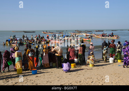 Marché aux poissons de Mbour, Mbour, Sénégal, Afrique de l'Ouest, l'Afrique Banque D'Images