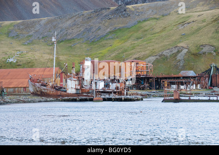 Ancienne station baleinière, Grytviken, Géorgie du Sud, l'Atlantique Sud Banque D'Images