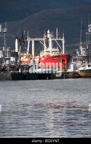 Les navires dans le port de ville la plus australe du monde, Ushuaia, Argentine, Amérique du Sud Banque D'Images