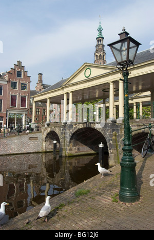 Le Pont de maïs, Centre de la vieille ville, Leiden, Pays-Bas, Europe Banque D'Images