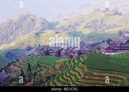 Les terrasses de riz de Backbone Dragons, Longsheng, Guangxi Province, China, Asia Banque D'Images