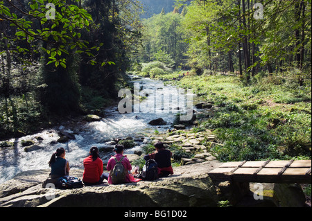 Les randonneurs en faisant une pause près d'une rivière, Zhangjiajie Forest Park, Wulingyuan Scenic Area, Hunan Province, China, Asia Banque D'Images