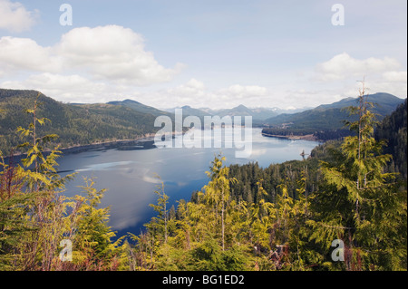 Lac Nitinat, Carmanah Walbran Provincial Park, l'île de Vancouver, Colombie-Britannique, Canada, Amérique du Nord Banque D'Images