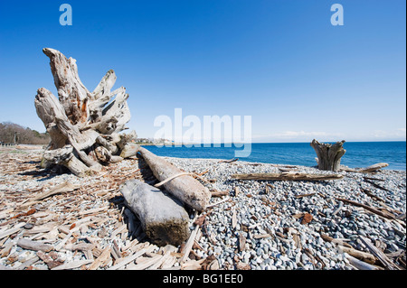 Une plage sur le détroit de Juan de Fuca, Victoria, île de Vancouver, Colombie-Britannique, Canada, Amérique du Nord Banque D'Images