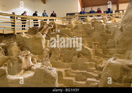 Le Mammoth Site, Hot Springs, Black Hills, Dakota du Sud, États-Unis d'Amérique, Amérique du Nord Banque D'Images