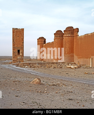 Qasr al-Heer al-Sharqi, palais de calife Omeyyade Hisham ibn Abd al-Malik (724-743), la Syrie Banque D'Images