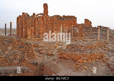 Qasr al-Heer al-Sharqi, palais de calife Omeyyade Hisham ibn Abd al-Malik (724-743), la Syrie Banque D'Images