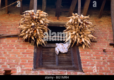 Brique typique de la structure du logement à Bungamati, Népal, avec séchage produisent dans l'extension de la windows. Banque D'Images