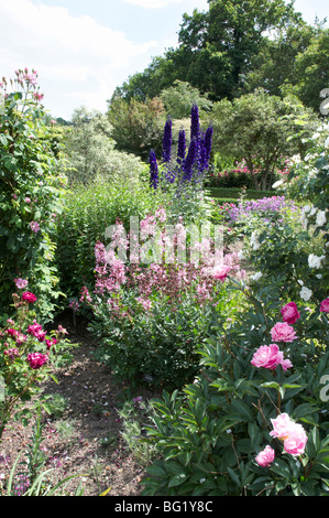 Une vue sur le jardin de fleurs en été Banque D'Images