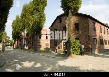 Hébergement pour les blocs au côté d'une avenue / route au camp de la mort nazi d'Auschwitz à Oswiecim, Pologne. Banque D'Images