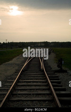 Les lignes de chemin de fer au crépuscule à l'intérieur de Birkenau (Auschwitz II - Birkenau) Camp de concentration Nazi à Oswiecim, Pologne. Banque D'Images