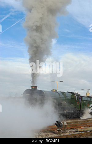 Comité permanent de la locomotive à vapeur à la gare de Bristol Temple Meads, prêt à se retirer avec un bain à vapeur à Torbay spécial . Banque D'Images