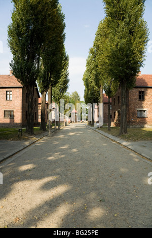 Hébergement pour les pâtés sur chaque côté de l'avenue / route au camp de la mort nazi d'Auschwitz à Oswiecim, Pologne. (49) Banque D'Images