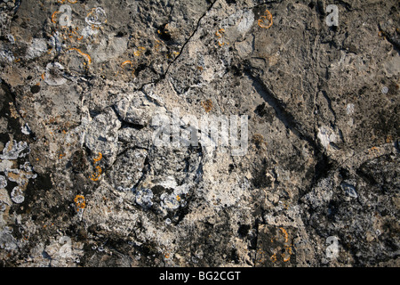 Close up d'un très vieux mur de pierre. Banque D'Images