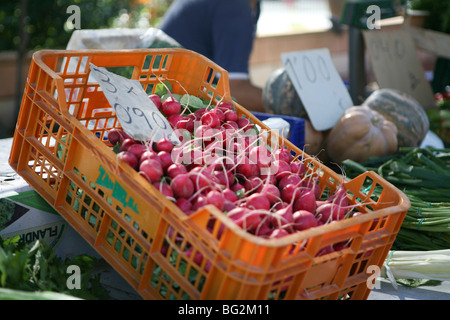 Caisse orange affichant des radis roses frais à vendre sur un étal de marché, sur un marché alimentaire espagnol Banque D'Images