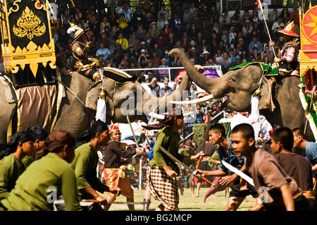 Les éléphants exécuter pendant l'éléphant coloré à Surin roundup. Banque D'Images