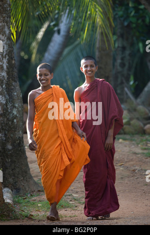 Les moines de Weherahena Temple, Matara, au Sri Lanka Banque D'Images